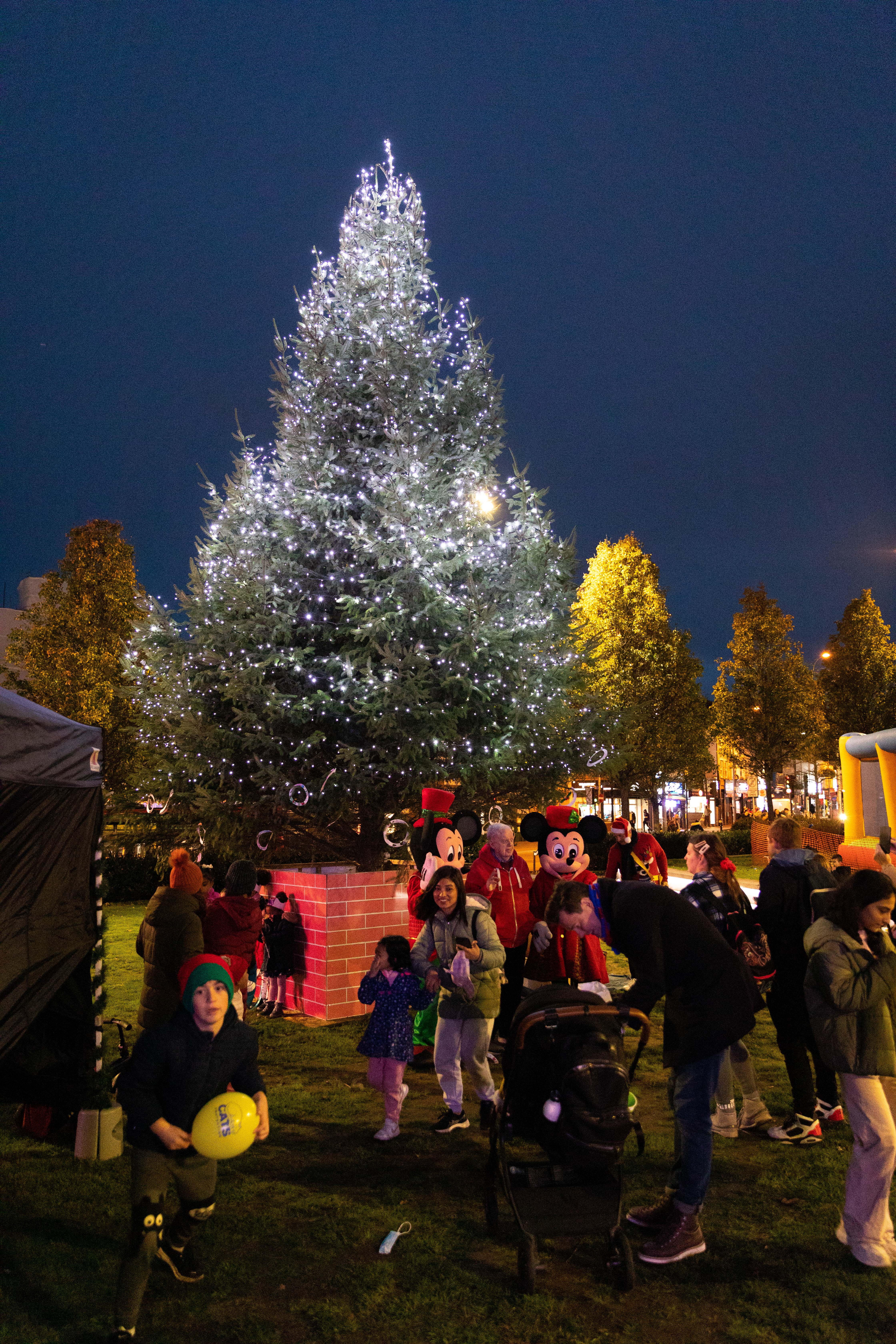 Large lit up Christmas tree in Woolwich