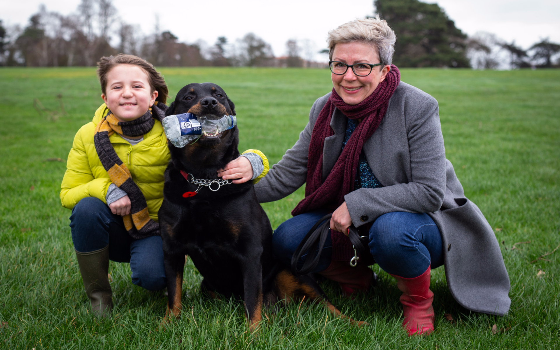 Maggie the litter picking dog