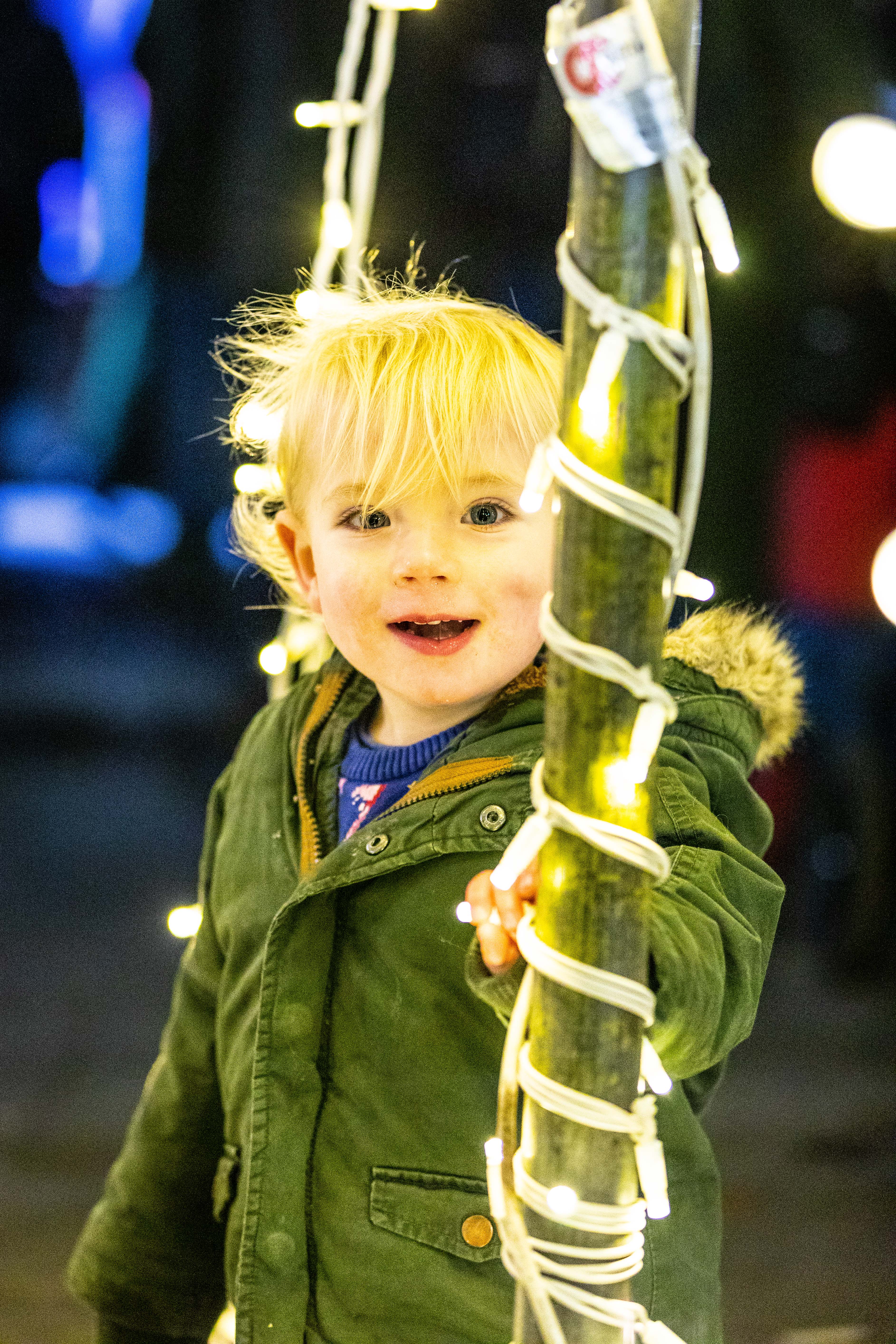 A small child stands between to tree trunks decorated with fairy lights