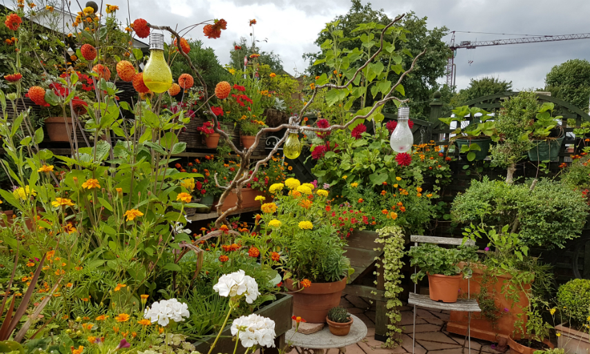 Greenwich in Bloom