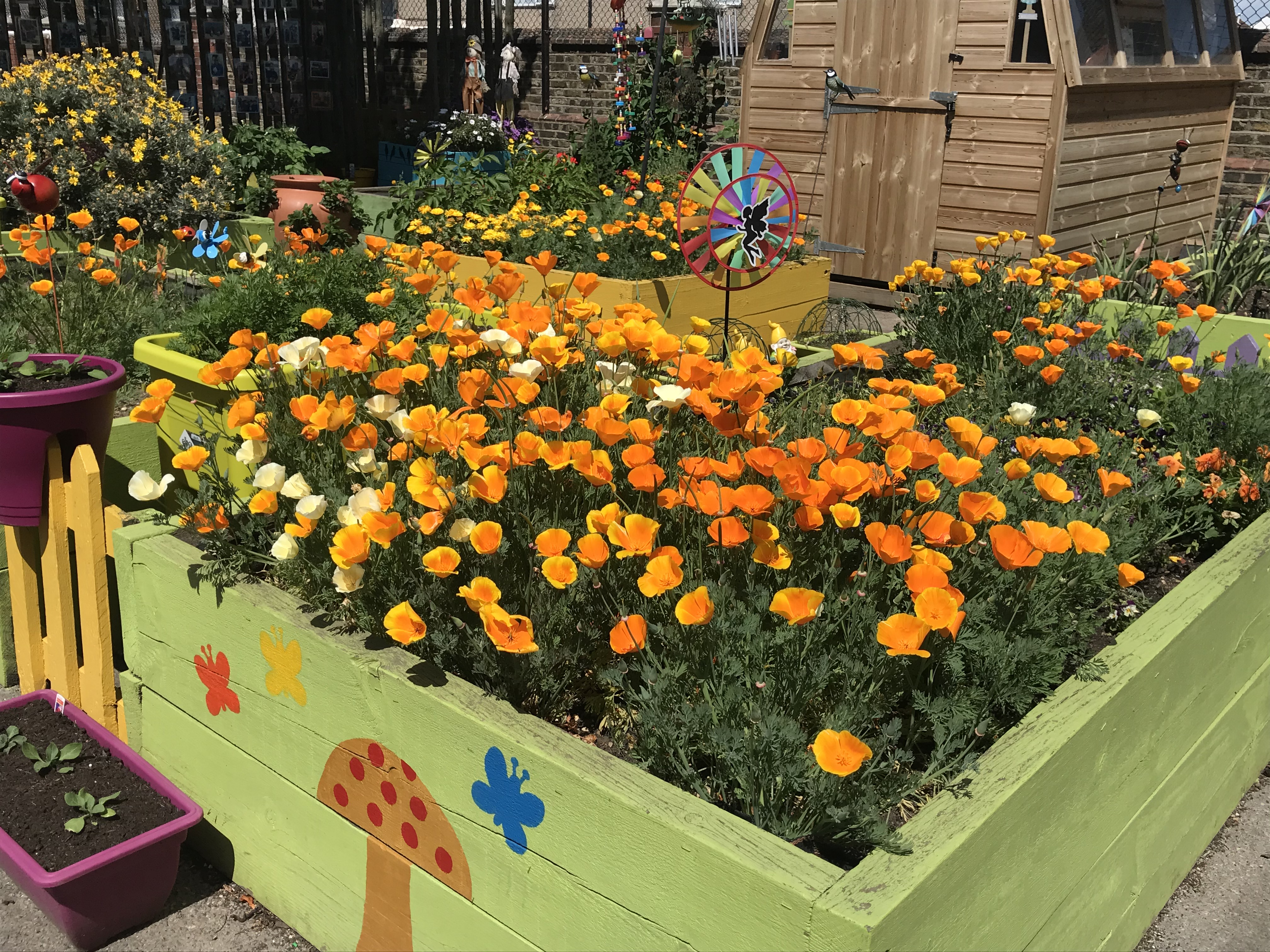 Bannockburn primary school, Communal Garden, 1st place