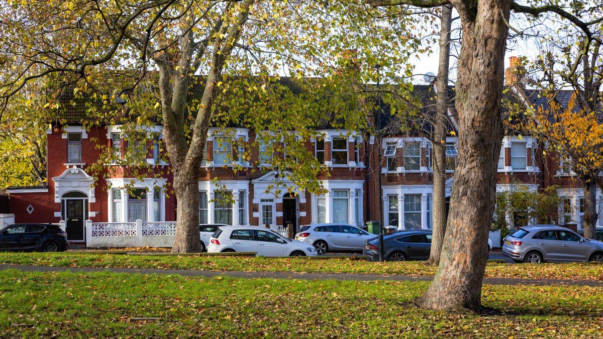 a row of houses overlooking open space