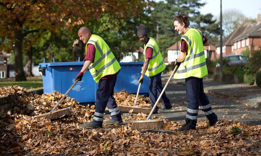 Leafing in Greenwich