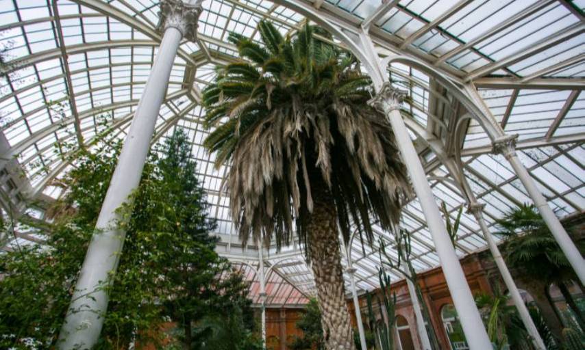 Interior of Avery Hill Winter Garden