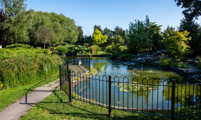 The garden's pond with new railings.