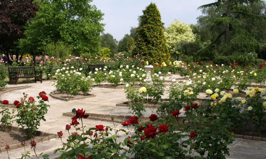 Rose Garden in Garden of Remembrance