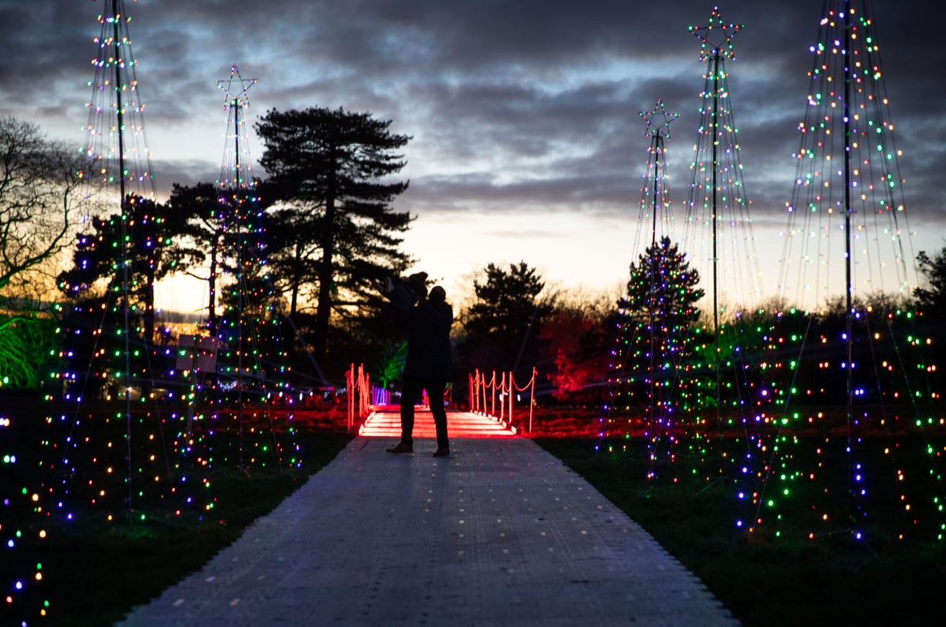 Father and son walking in the middle of lights