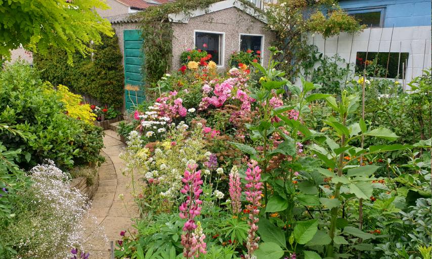 Back Garden, Merit, Phyllis Dulgam