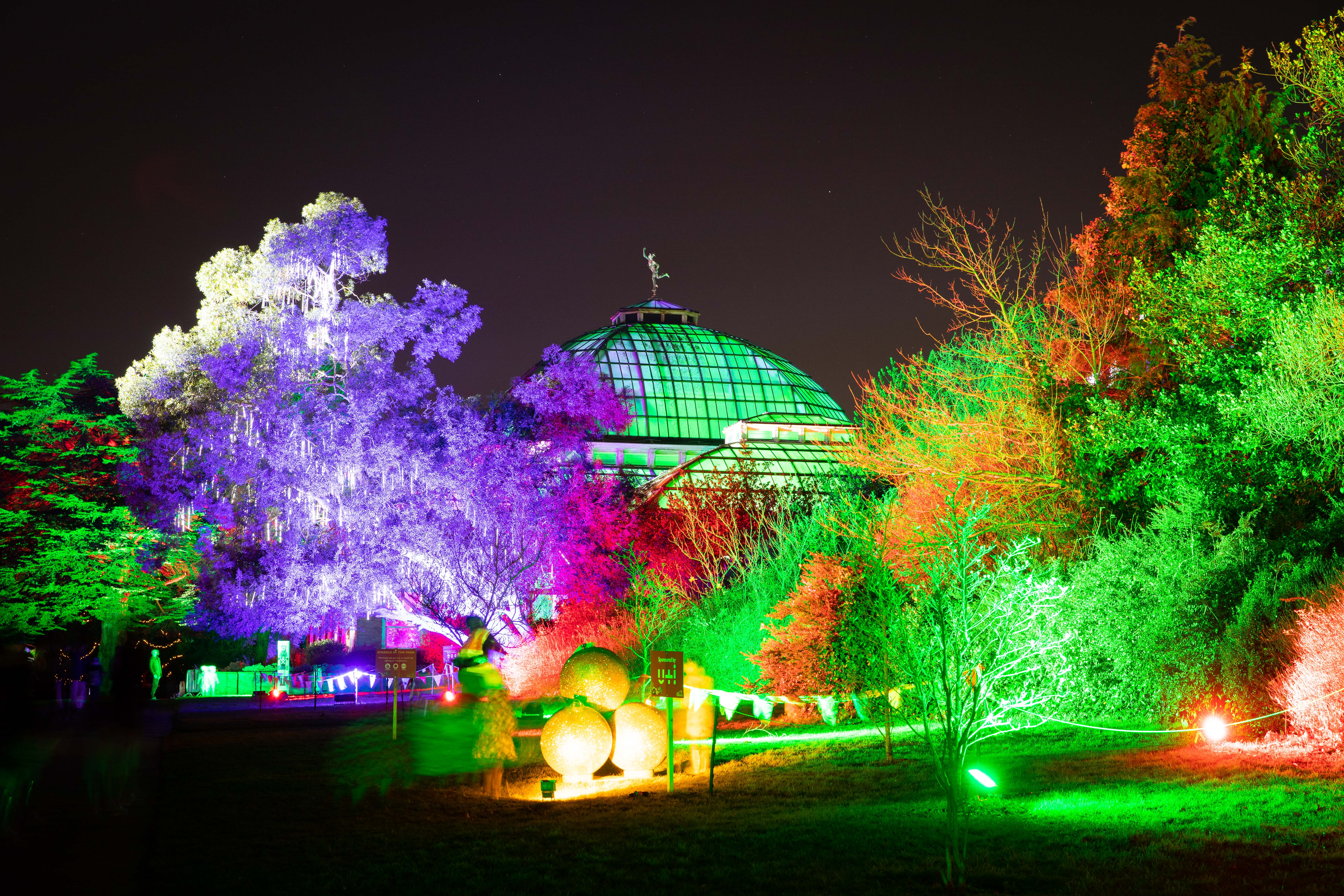 Avery Hill Winter Garden, a large building with a glass doem roof, is lit up in colour