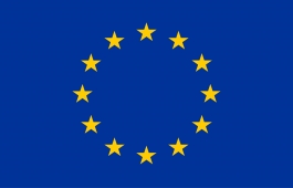 EU logo
