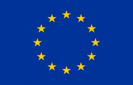 EU logo