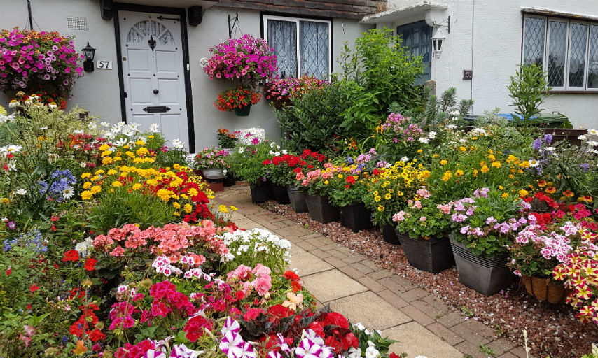 Greenwich in bloom