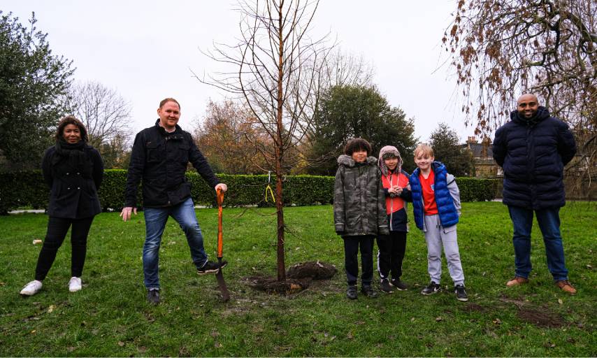 2,022nd tree in Greenwich