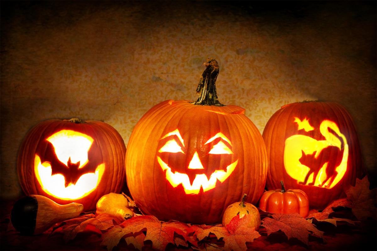 A photo of three carved pumpkins