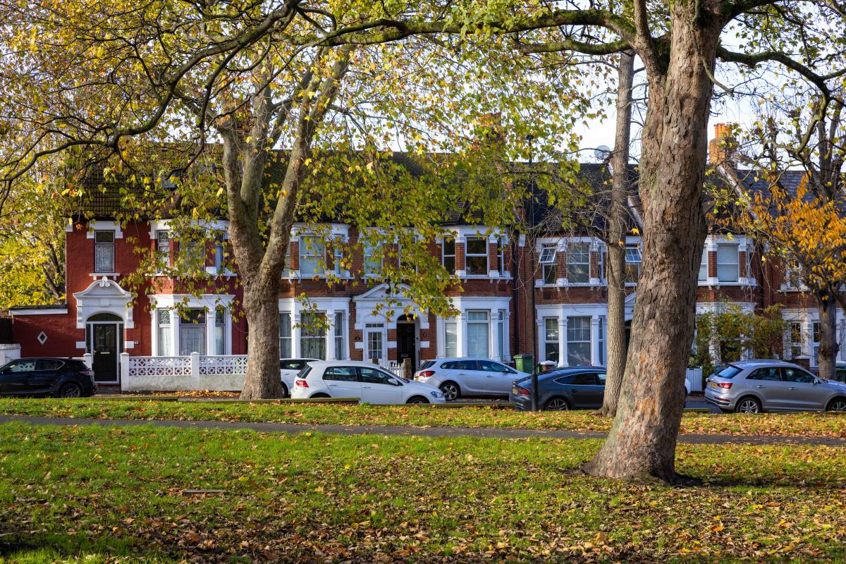 a row of houses across a park