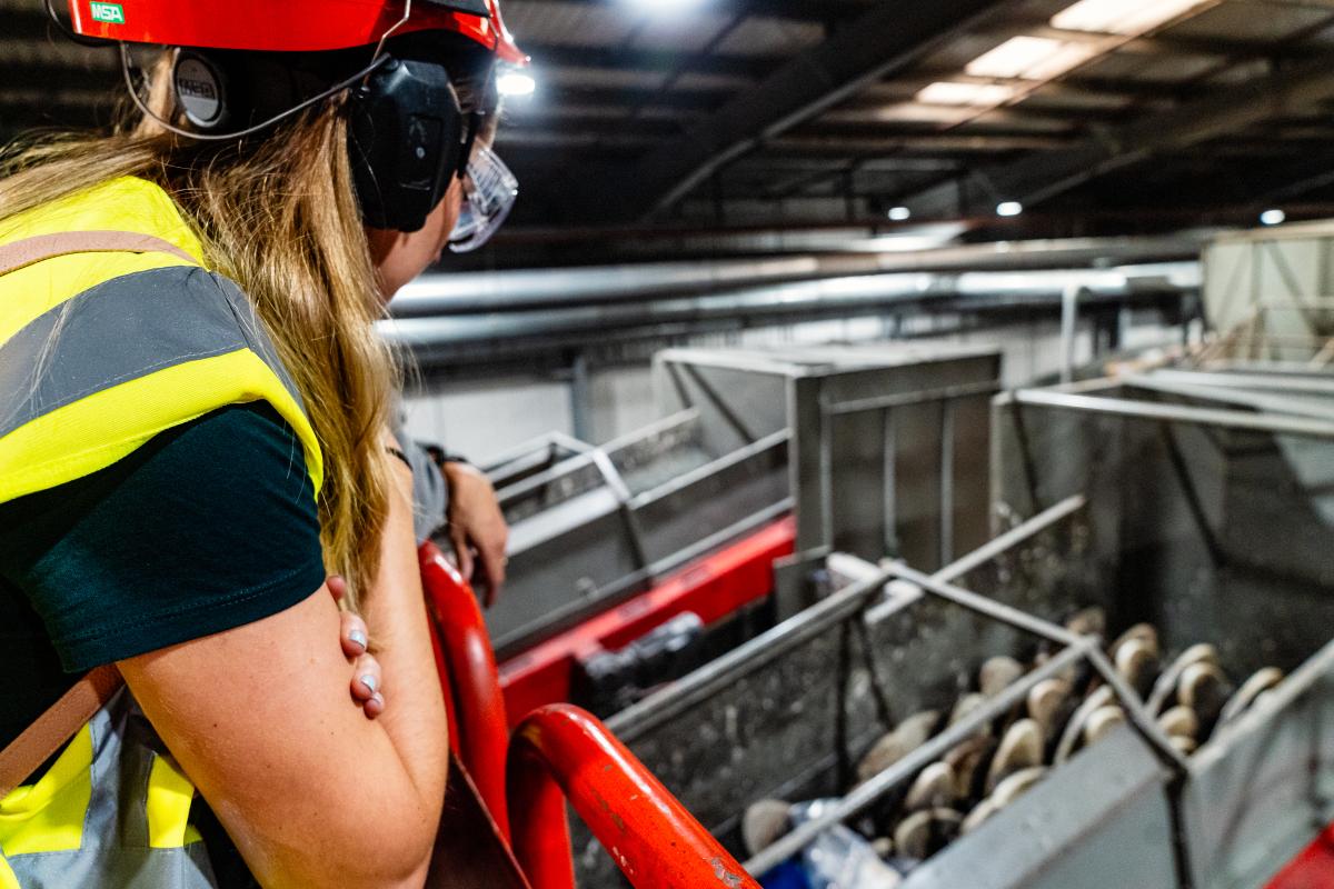 A person wearing a hi vis vest and hard hat, looking out over a recycling plant.