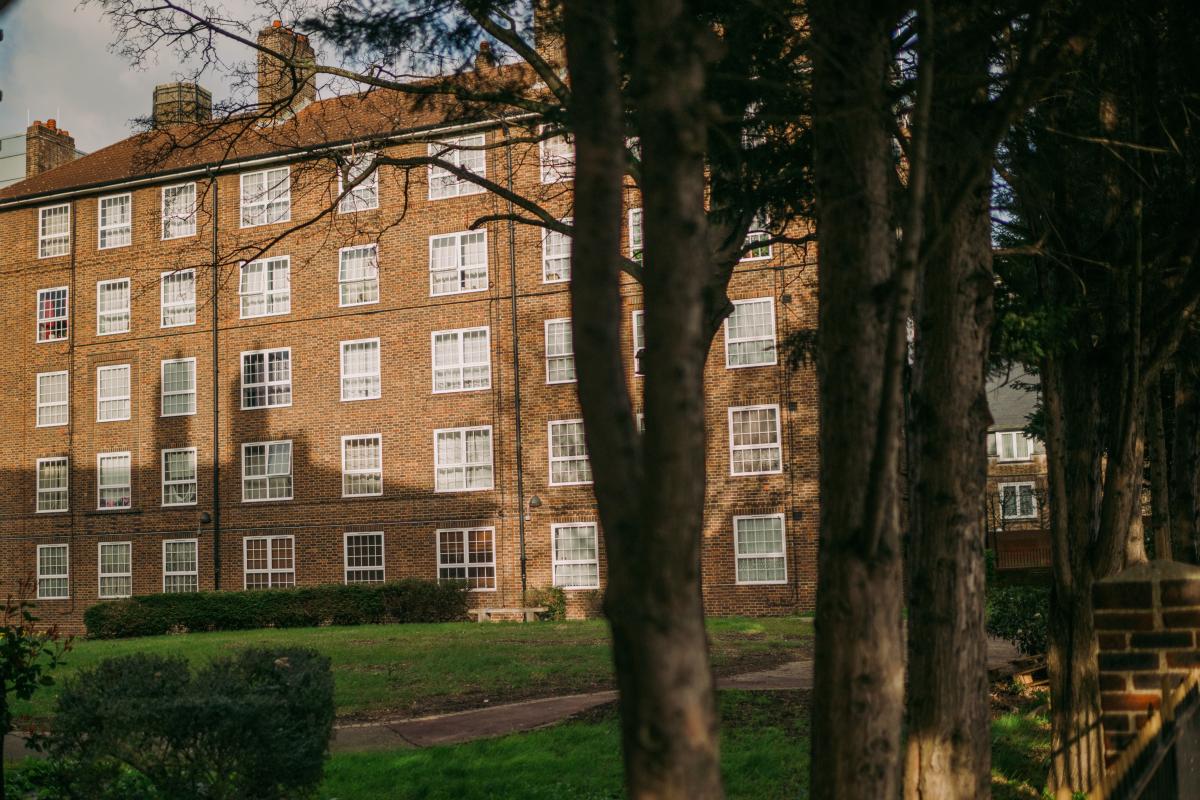 Brick apartment building with white-framed windows surrounded by green trees and grass on a sunny day in a residential neighborhood.