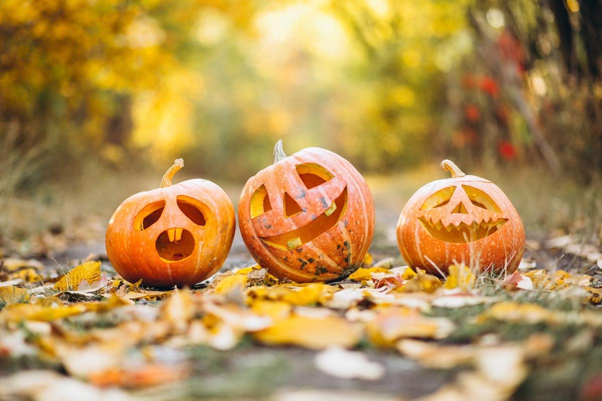 Three carved jack-o'-lanterns on the ground with autumn leaves outdoors