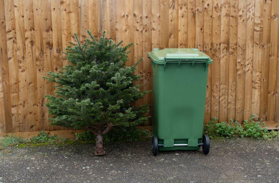 an image of a Christmas tree and a green top bin