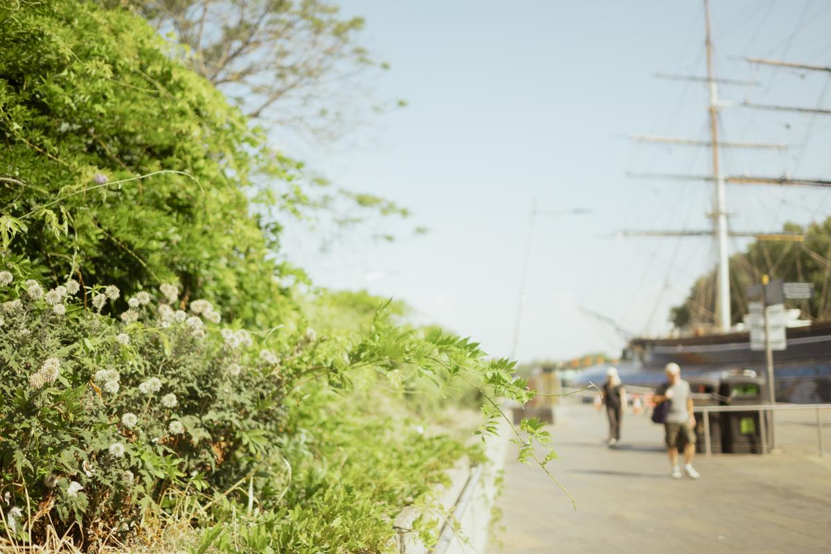 Green leafy plants and white wildflowers line a paved waterfront path in the foreground. In the background, two people walk along the path near a docked tall ship with masts and rigging under a clear blue sky.