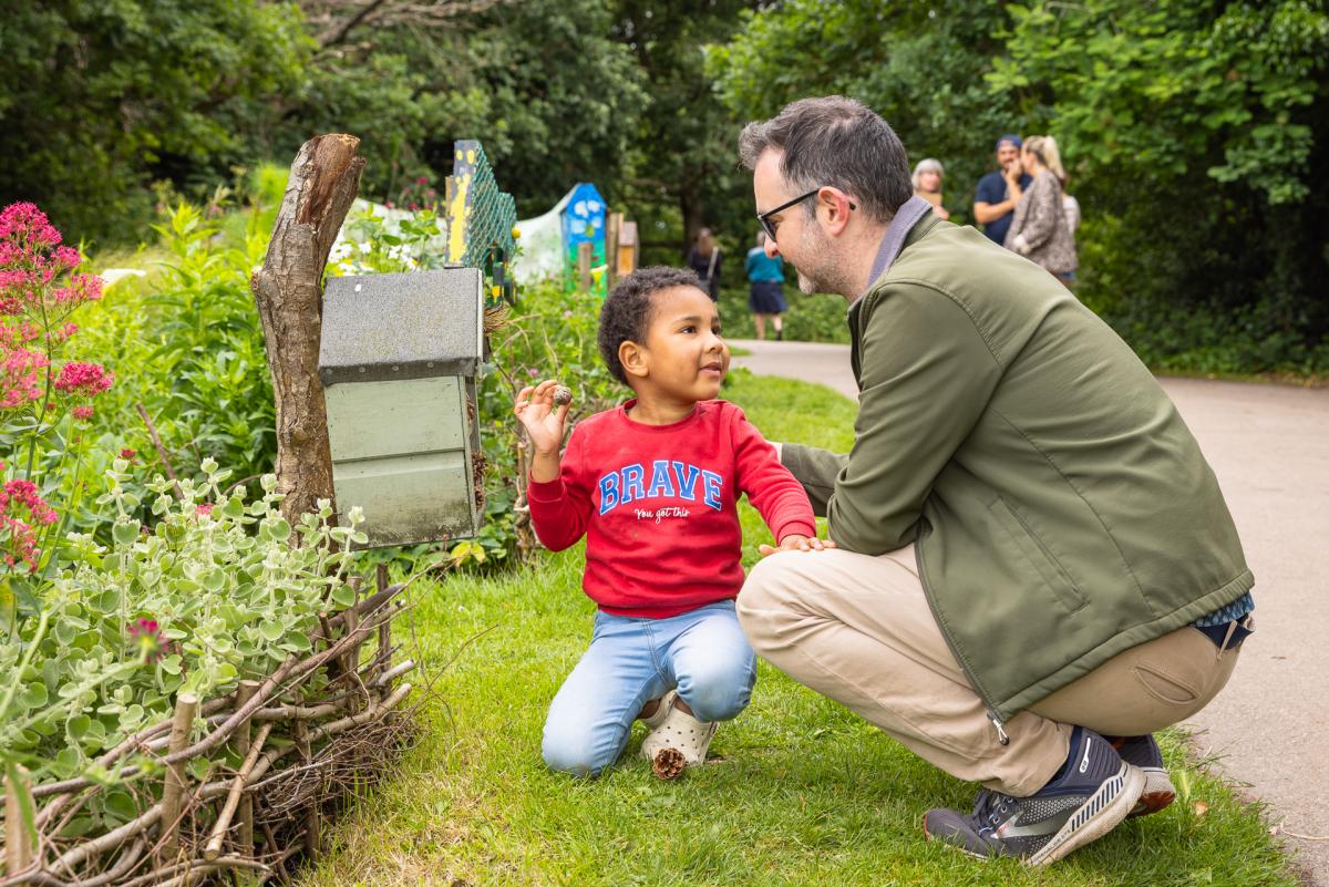 An adult and a child crouched down on grass, next to a wooden box filled with pine cones. The child is holding up a pine cone to show the adult.
