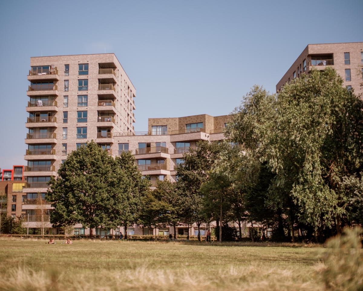 A photo of council homes at Greenwich Millennium Village, with modern apartment blocks surrounded by greenery.