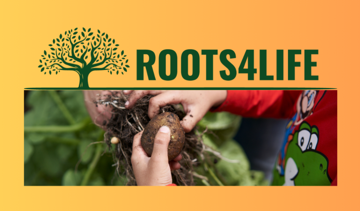 Yellow background, image of a child's hands holding an unrooted potato with dirt on it. A green illustration of a tree next to green text reading "ROOTS4LIFE"
