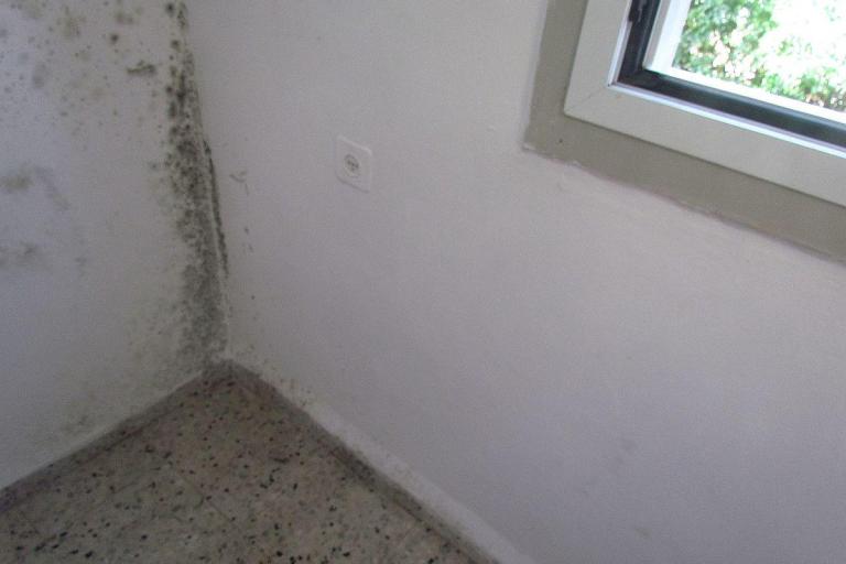 An example of what mould might look like in your home: dark spots on a wall