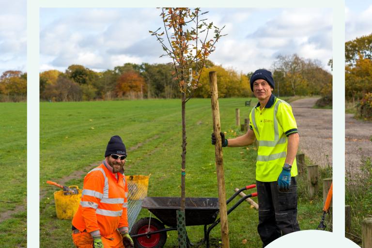 Staff planting a tree in Royal Greenwich.