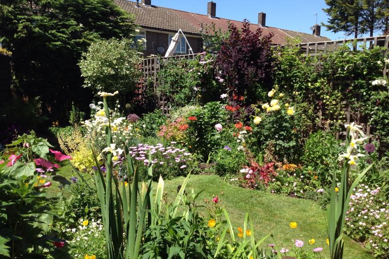 a residential garden with flowers in bloom