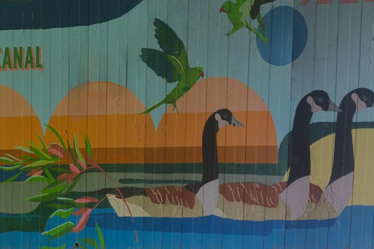 A painted mural by the artist Hixxy showing three geese followed by a parrot on a sunny day at Butts Canal.