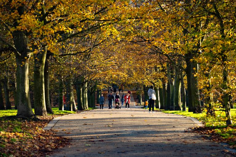 Greenwich park in the fall with people walking