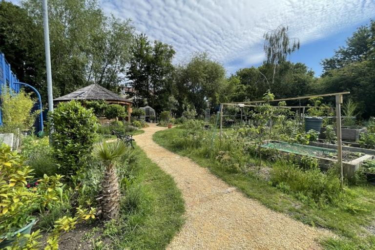 An image showing a garden that was funded by a previous round of Greenwich Neighbourhood Growth Fund funding